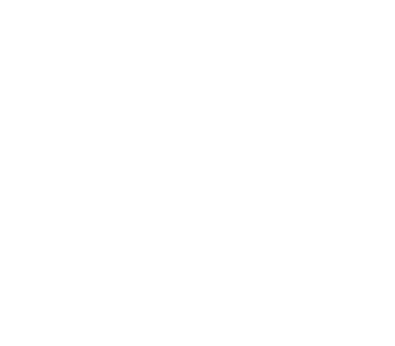 Concessionaire Opel
